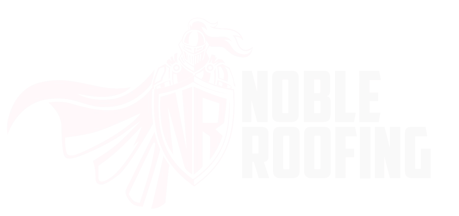 Noble Roofing MN